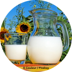 Eine Glaskanne und ein Glas mit Milch stehen auf einem Tisch im Freien, im Hintergrund blühen Sonnenblumen.