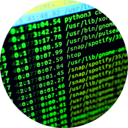 Nahaufnahme eines Computerbildschirms mit grünem Terminal-Text auf schwarzem Hintergrund, der Dateipfade, Zeitstempel und Befehle wie „python3“ und „htop“ zeigt.