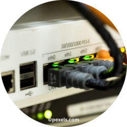 Rückseite eines Netzwerkgerätes mit eingesteckten Netzwerkkabeln