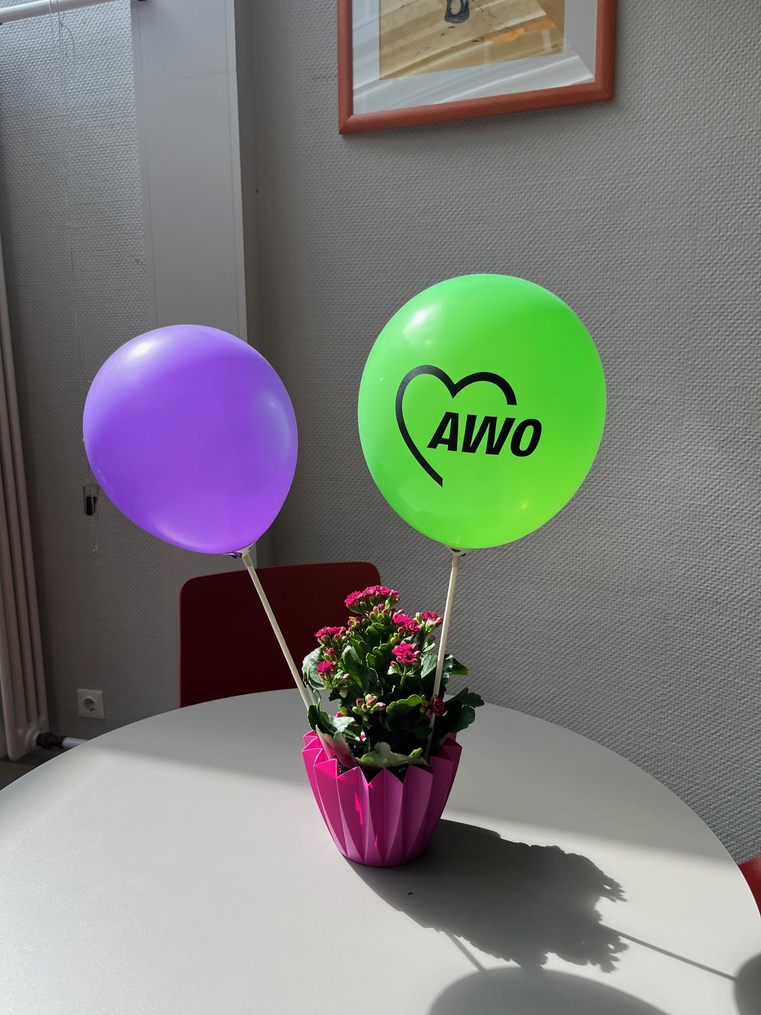 Eine blühende Topfpflanze mit einem grünen AWO-Luftballon und einem lilafarbenen Luftballon steht auf einem Tisch.